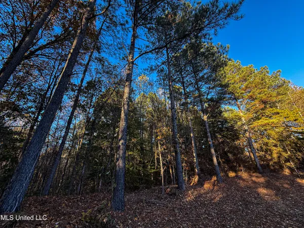 $529,000 | 2075 County Road 180, New Albany, MS 38652