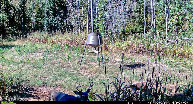 $529,000 | 2075 County Road 180, New Albany, MS 38652