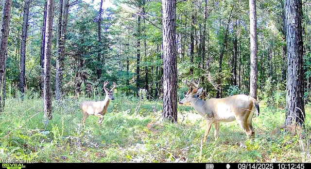 $529,000 | 2075 County Road 180, New Albany, MS 38652