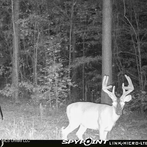 $529,000 | 2075 County Road 180, New Albany, MS 38652