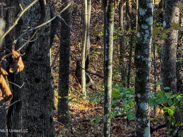 $529,000 | 2075 County Road 180, New Albany, MS 38652