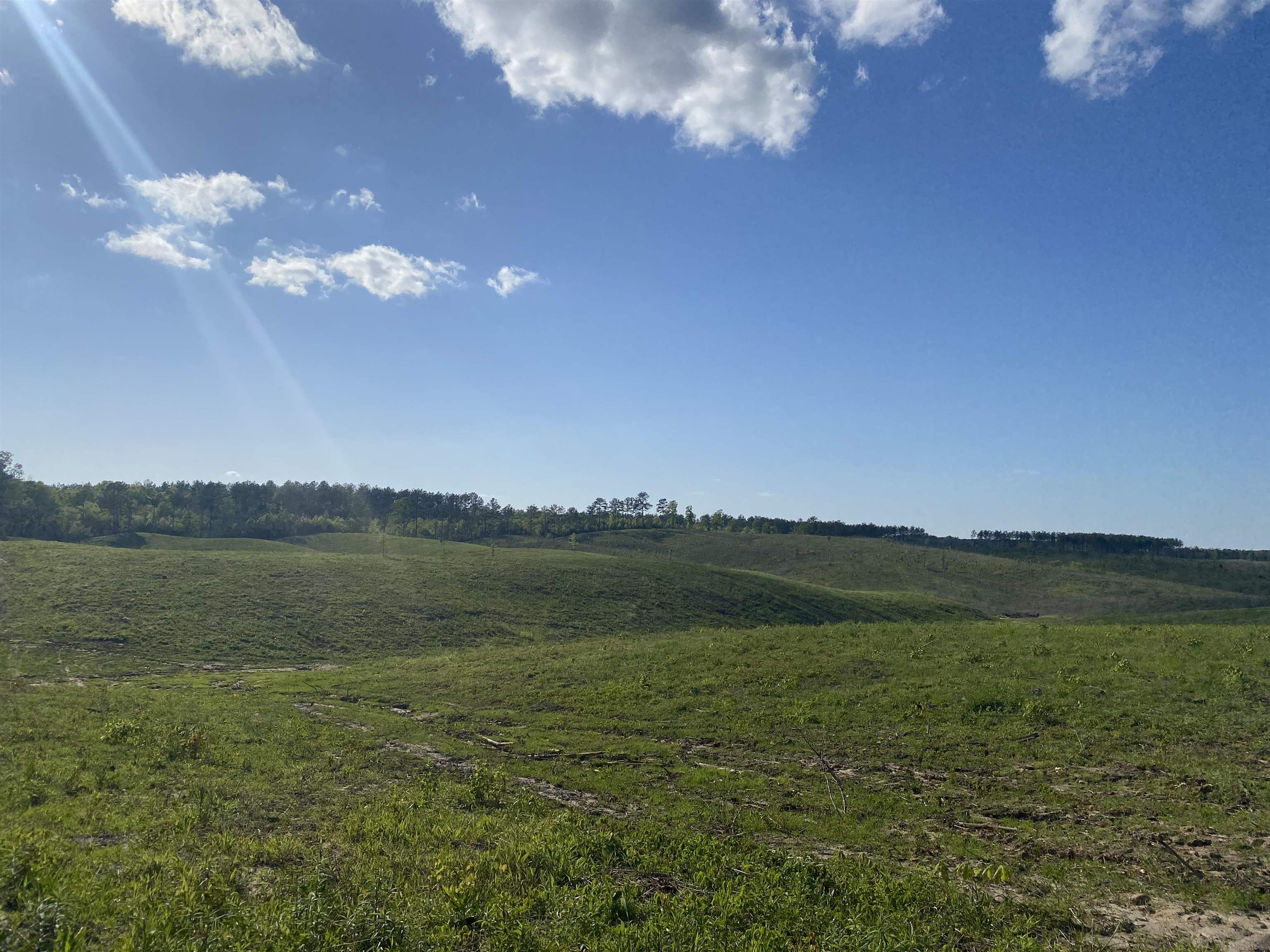 7 Otis Paine Road Bethel Springs, TN 38315 - Photo 12 of 25 a view of lake and mountain