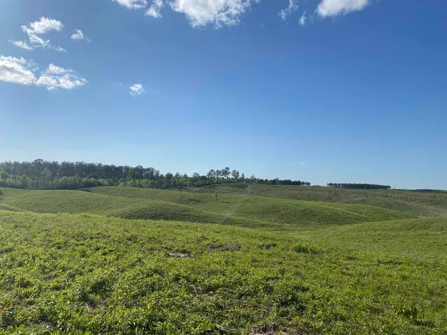 a view of a field with an ocean