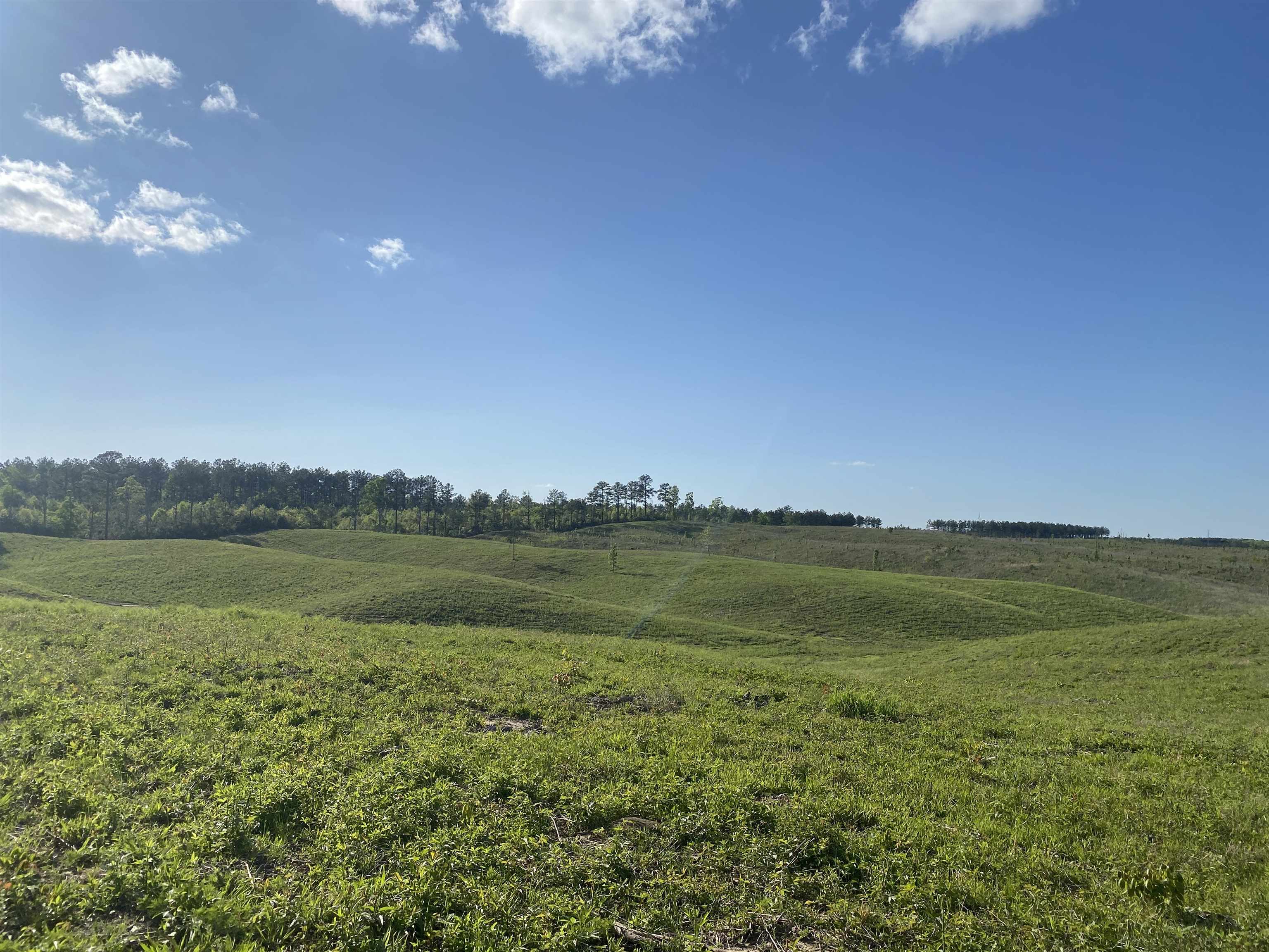 7 Otis Paine Road Bethel Springs, TN 38315 - Photo 13 of 25 a view of lake with green space