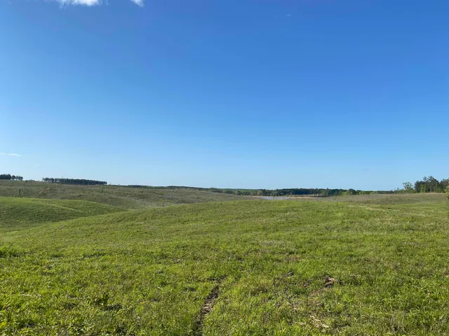 a view of an ocean and beach