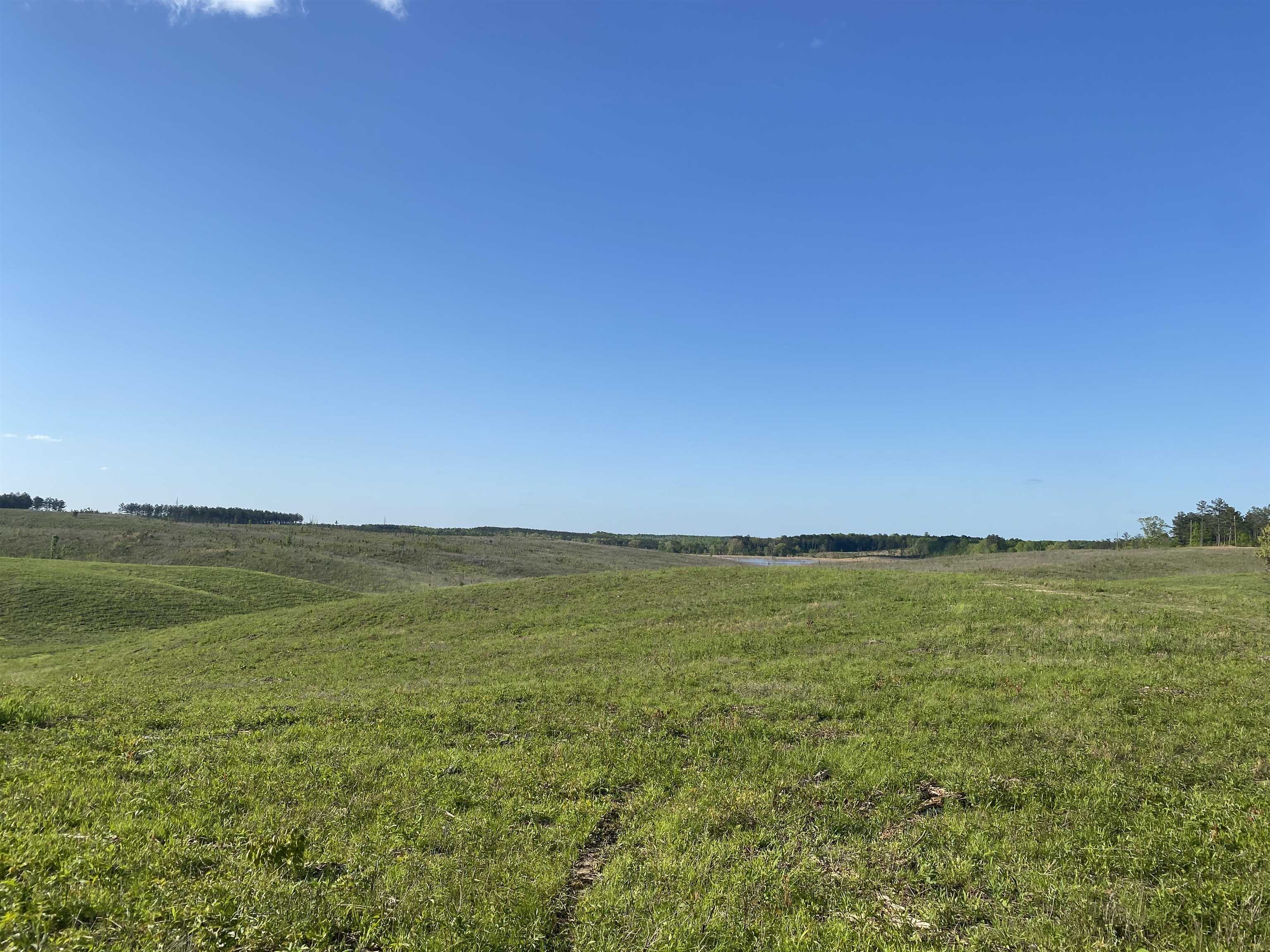 7 Otis Paine Road Bethel Springs, TN 38315 - Photo 14 of 25 a view of an ocean beach and mountain
