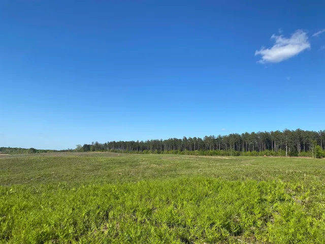 a view of lake with green space