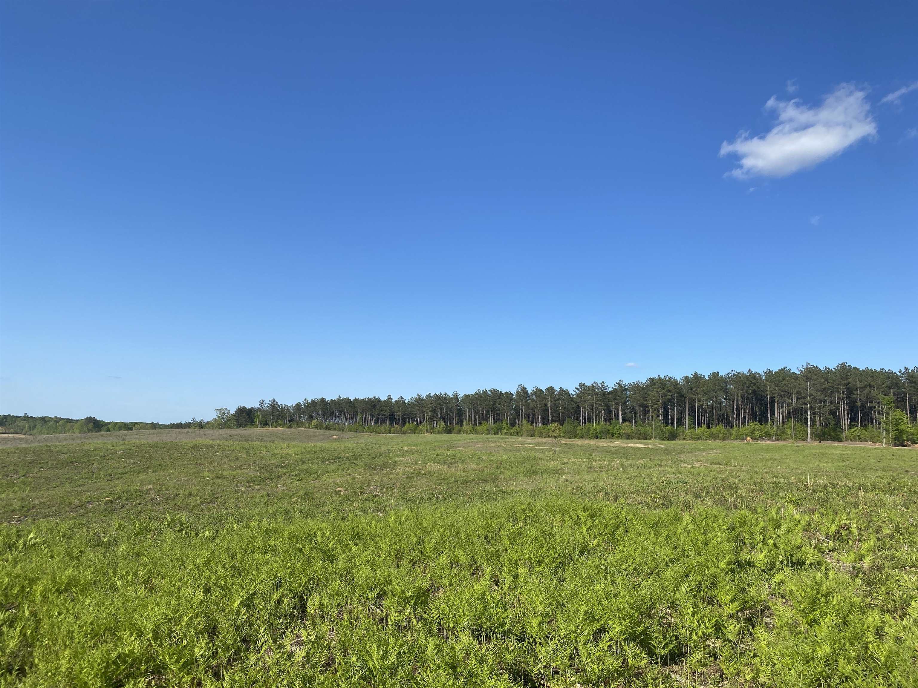 7 Otis Paine Road Bethel Springs, TN 38315 - Photo 15 of 25 a view of a field with an ocean