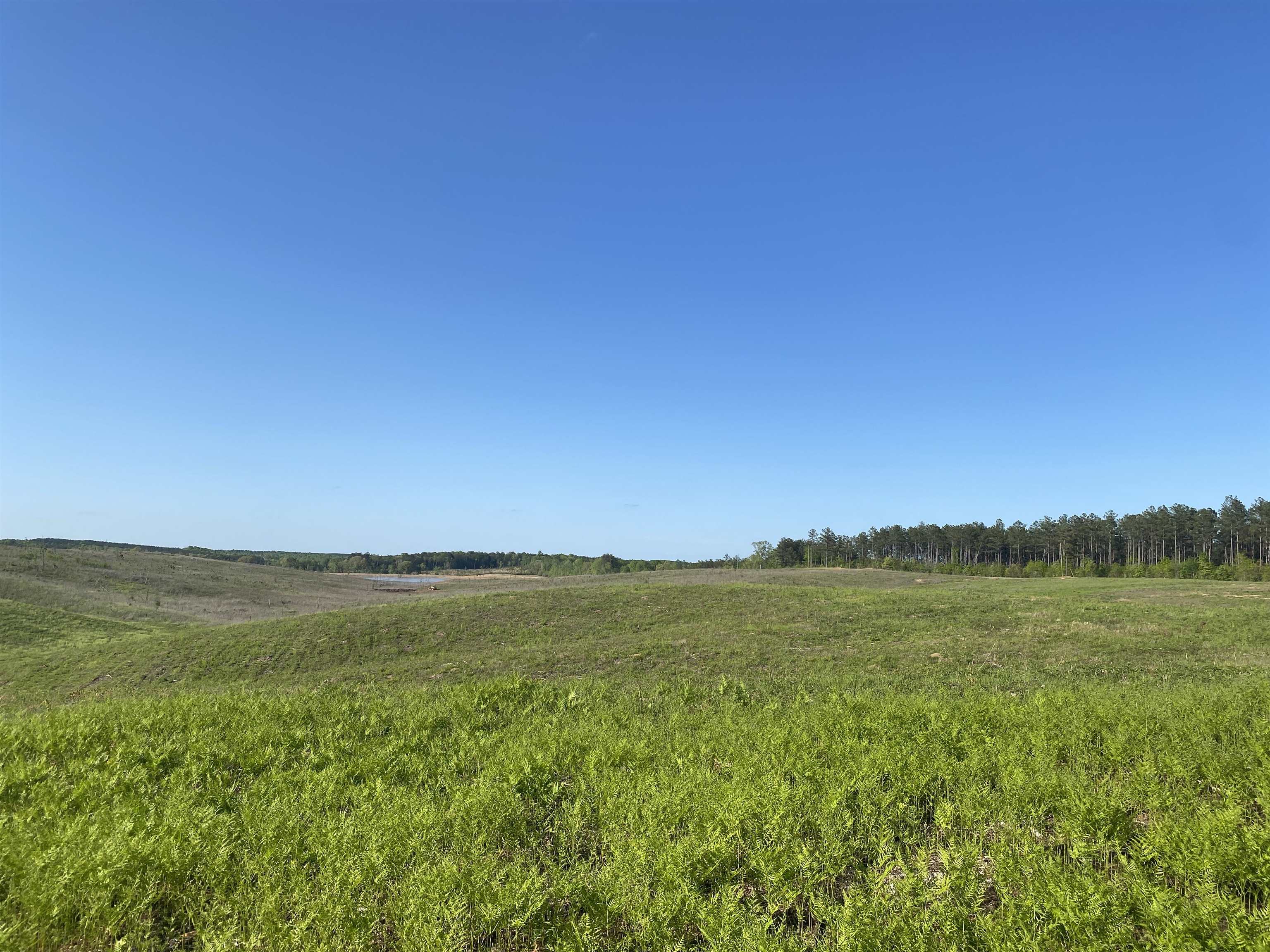 7 Otis Paine Road Bethel Springs, TN 38315 - Photo 16 of 25 a view of an ocean and beach