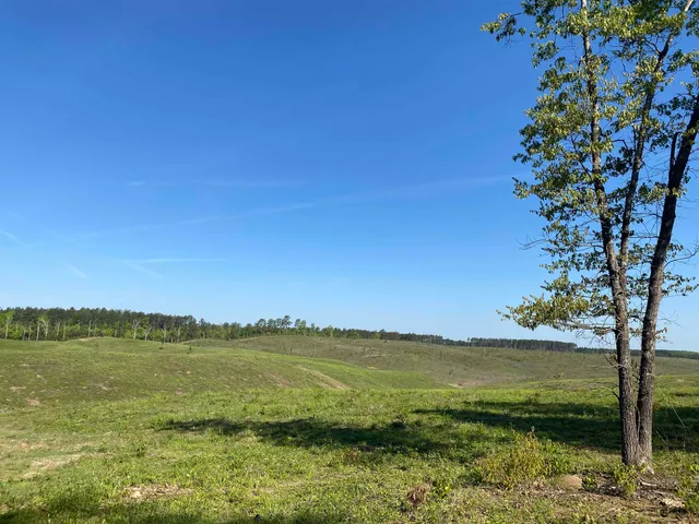 a view of an ocean in a field