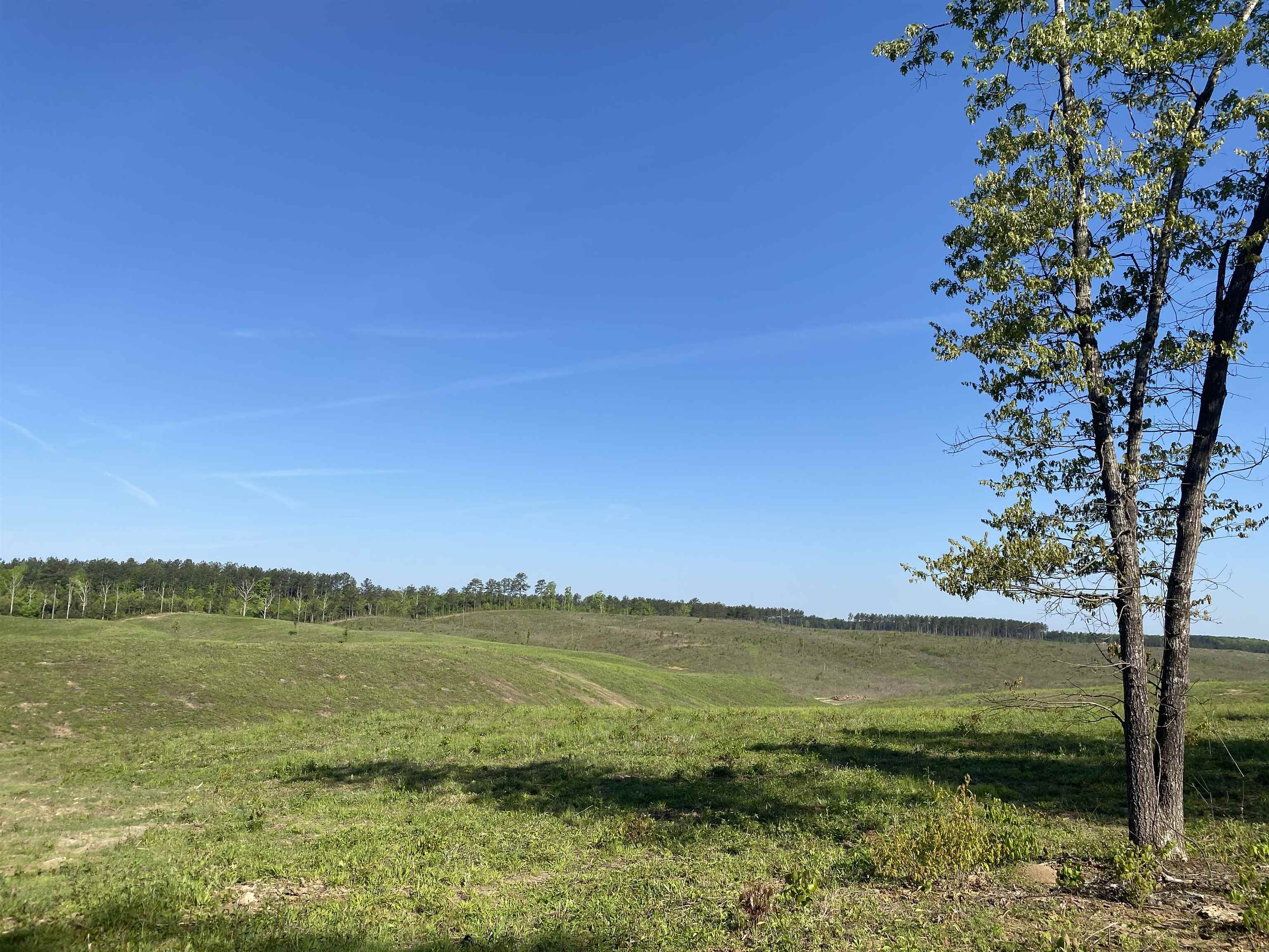 7 Otis Paine Road Bethel Springs, TN 38315 - Photo 17 of 25 a view of lake with green space