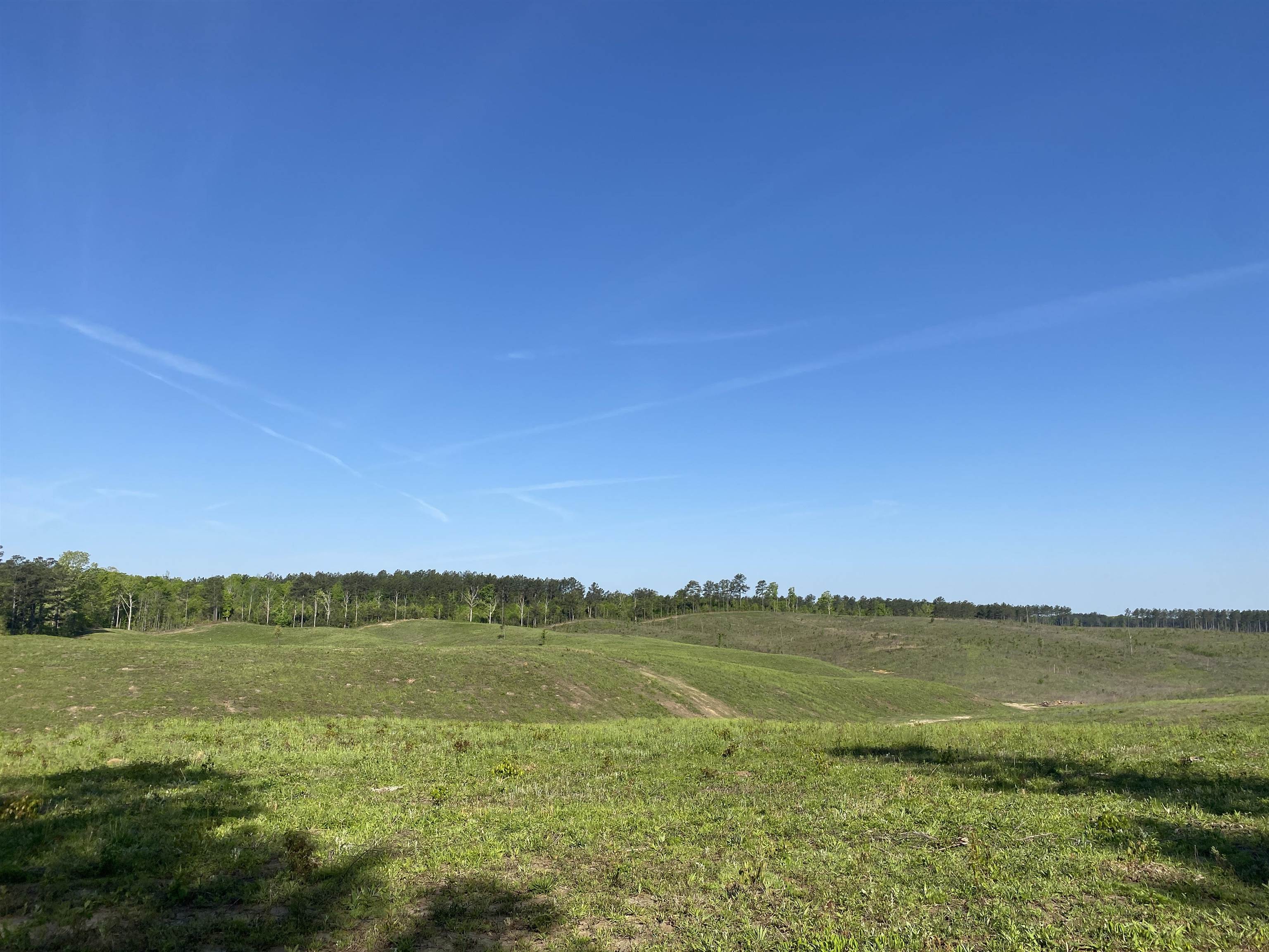 7 Otis Paine Road Bethel Springs, TN 38315 - Photo 18 of 25 a view of a ocean with a lake