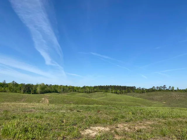 a view of a field with an ocean