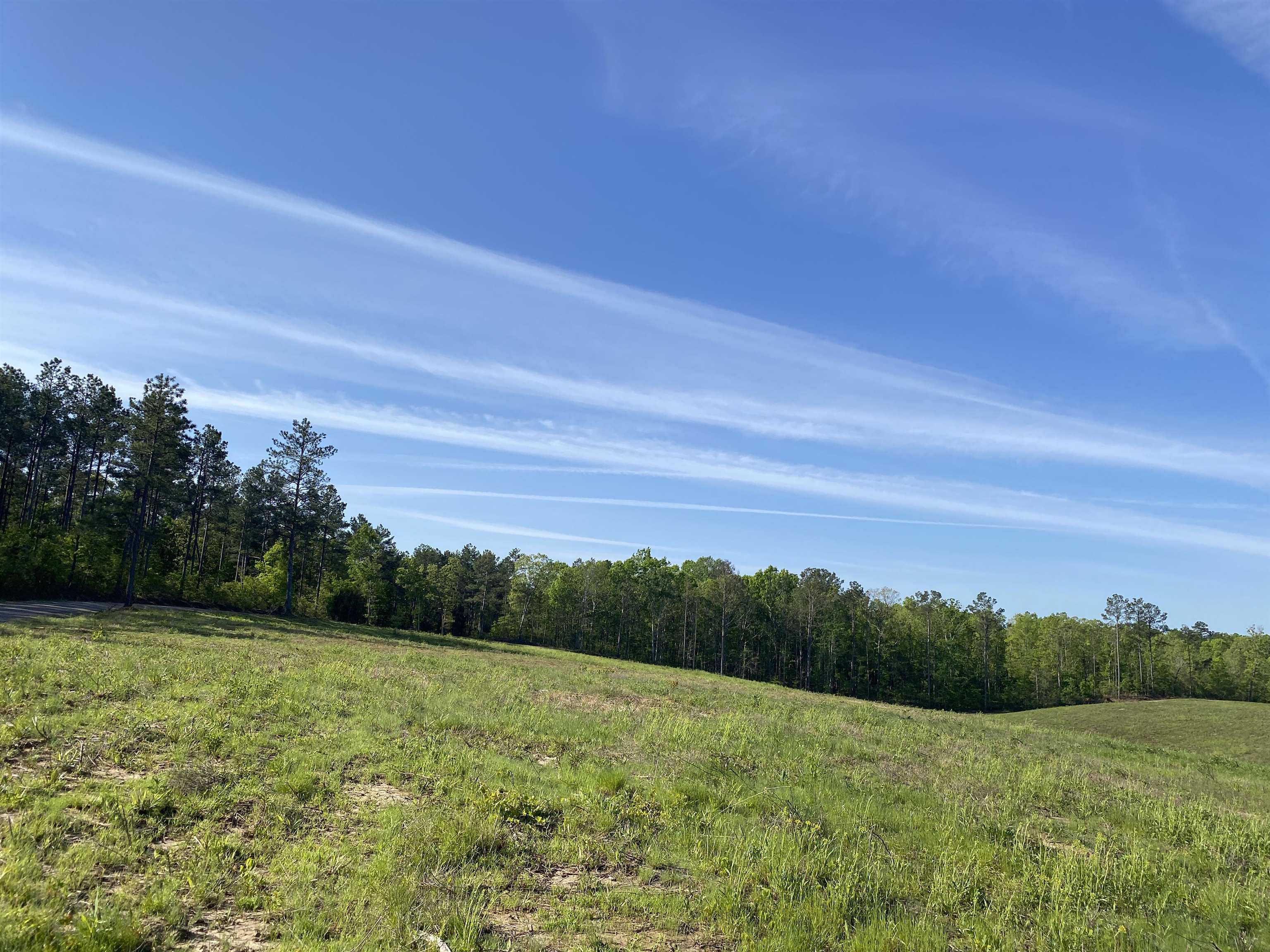 7 Otis Paine Road Bethel Springs, TN 38315 - Photo 22 of 25 a view of a field with an ocean