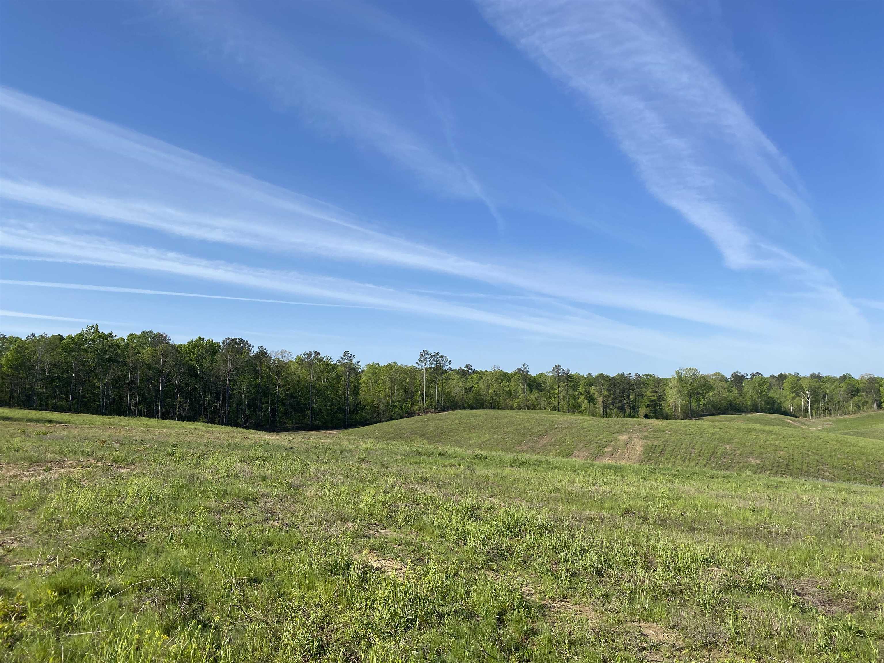 7 Otis Paine Road Bethel Springs, TN 38315 - Photo 24 of 25 a view of a field with an ocean