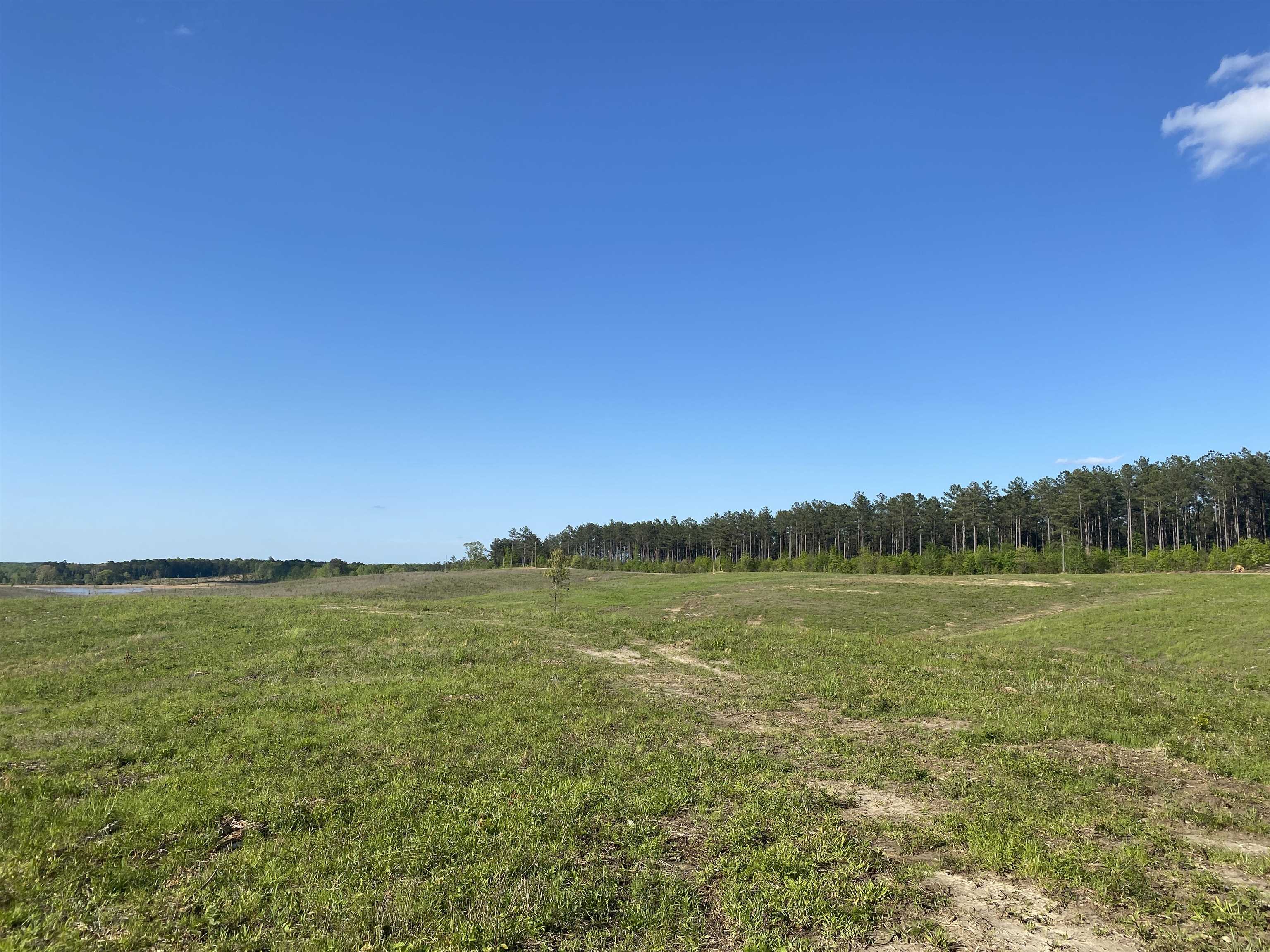 7 Otis Paine Road Bethel Springs, TN 38315 - Photo 3 of 25 a view of an ocean and beach