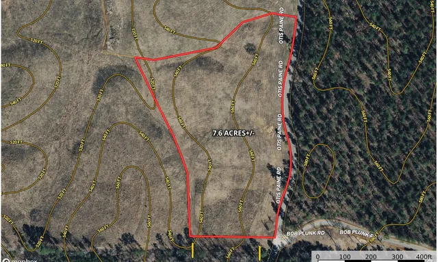 a close up of a plant