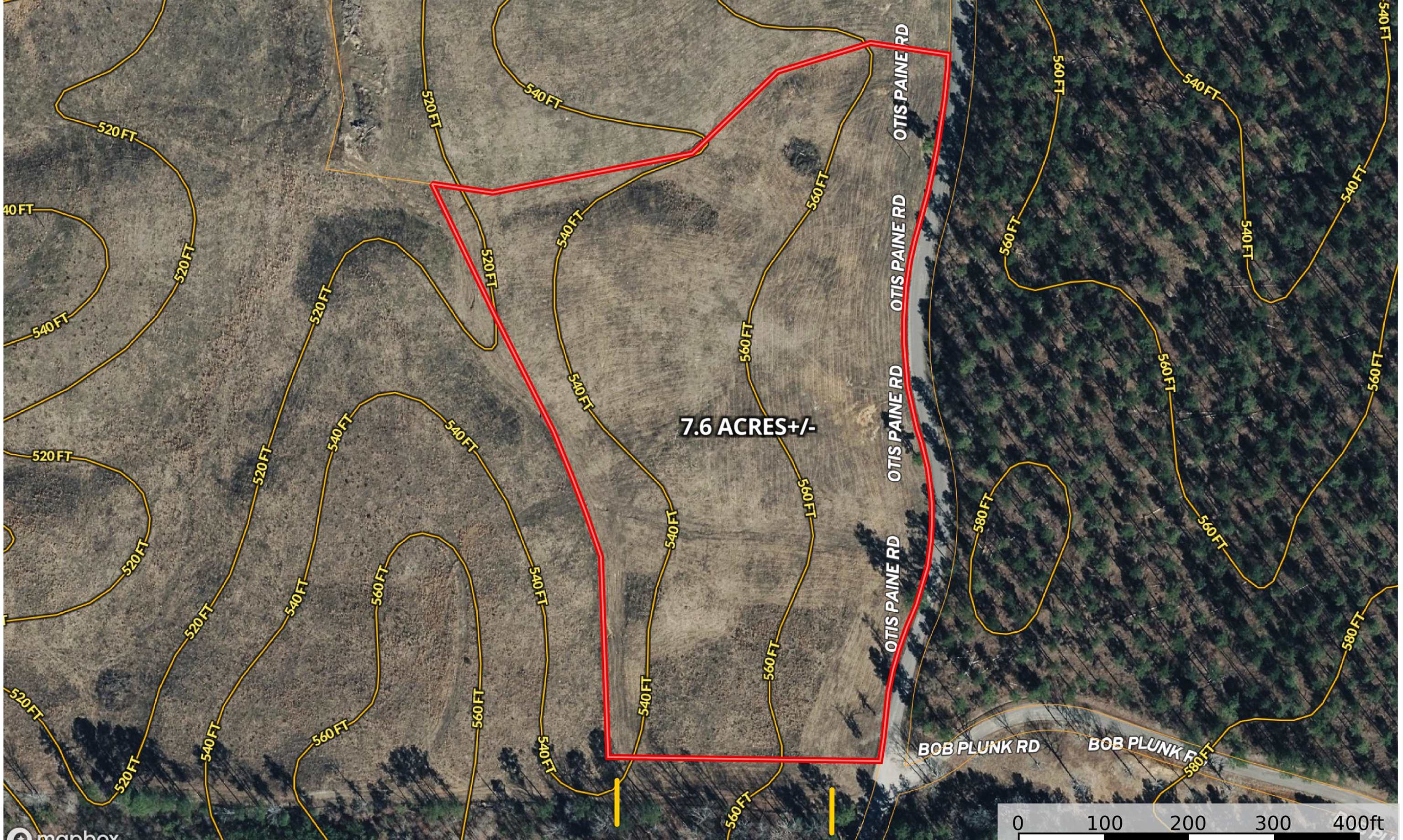 7 Otis Paine Road Bethel Springs, TN 38315 - Photo 4 of 25 a close up of a plant