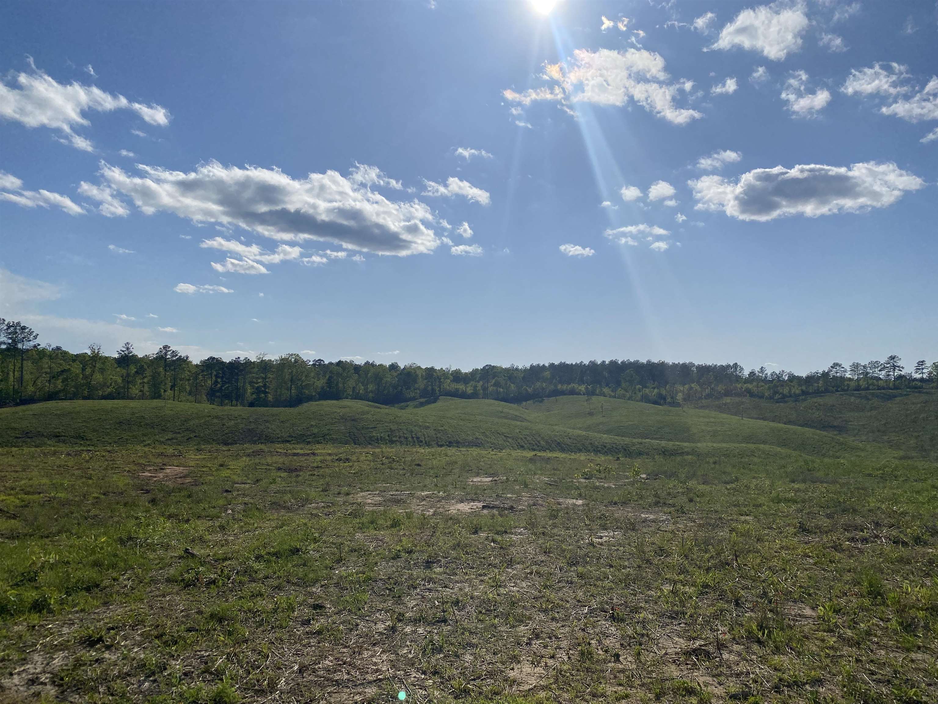 7 Otis Paine Road Bethel Springs, TN 38315 - Photo 6 of 25 a view of a lake in middle of the town