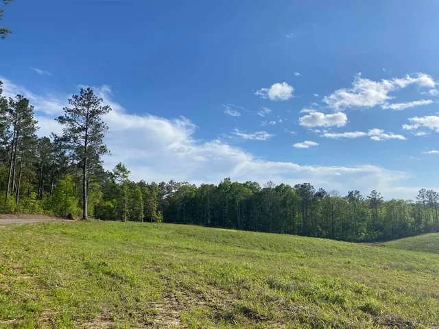 a view of field with trees in the background