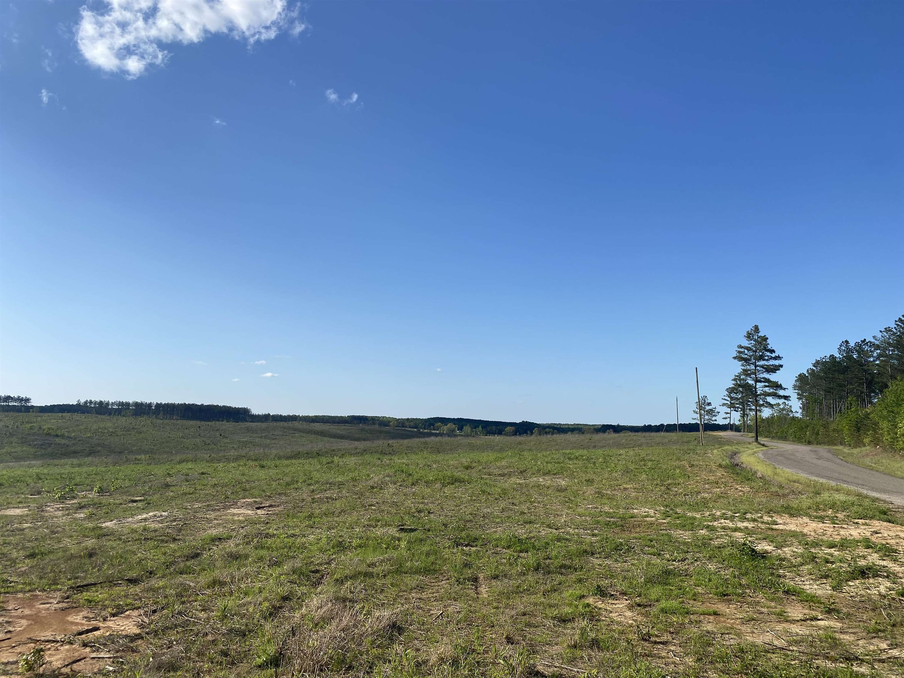 7 Otis Paine Road Bethel Springs, TN 38315 - Photo 8 of 25 a view of an ocean