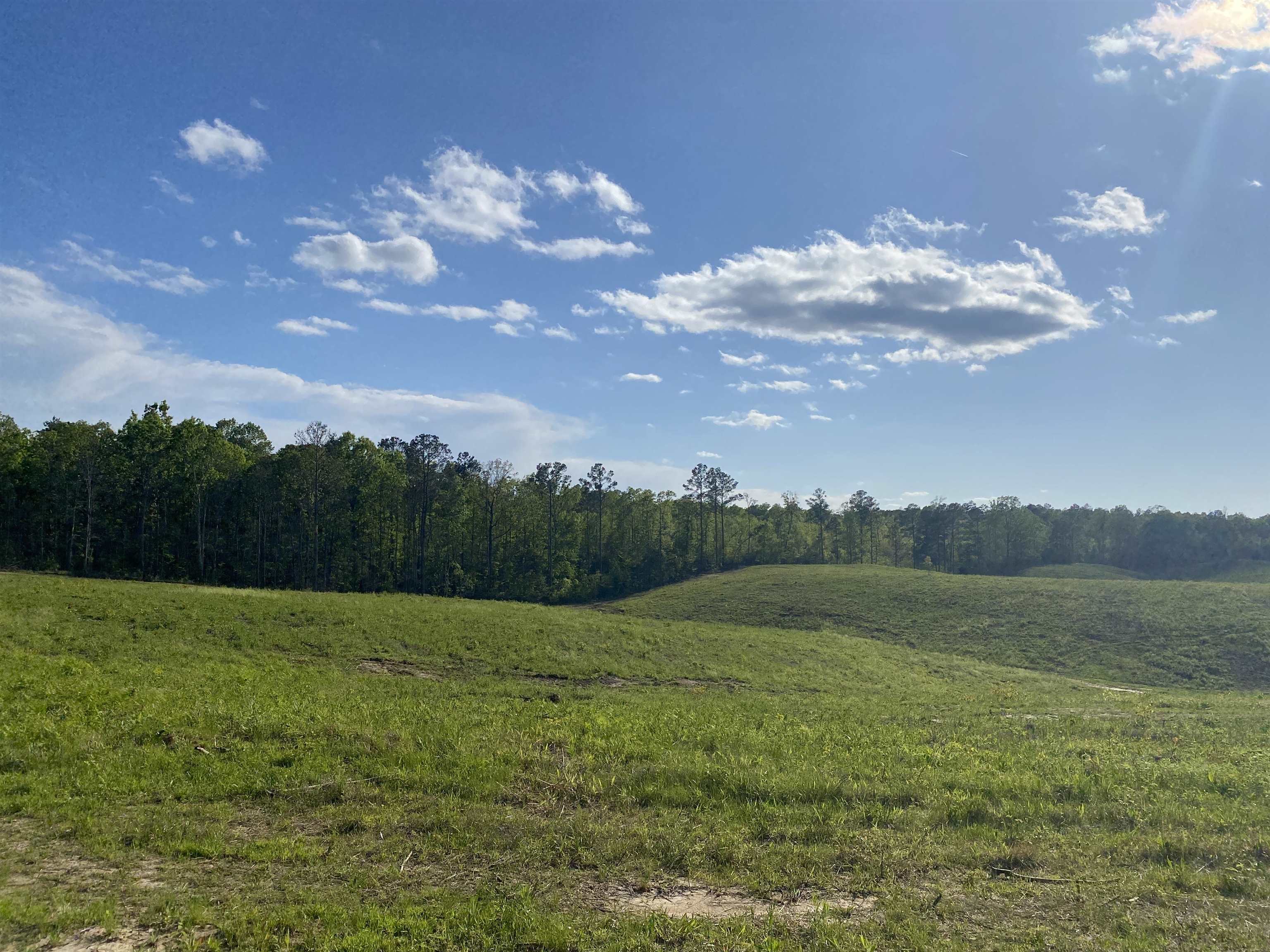 7 Otis Paine Road Bethel Springs, TN 38315 - Photo 9 of 25 a view of field with trees in the background