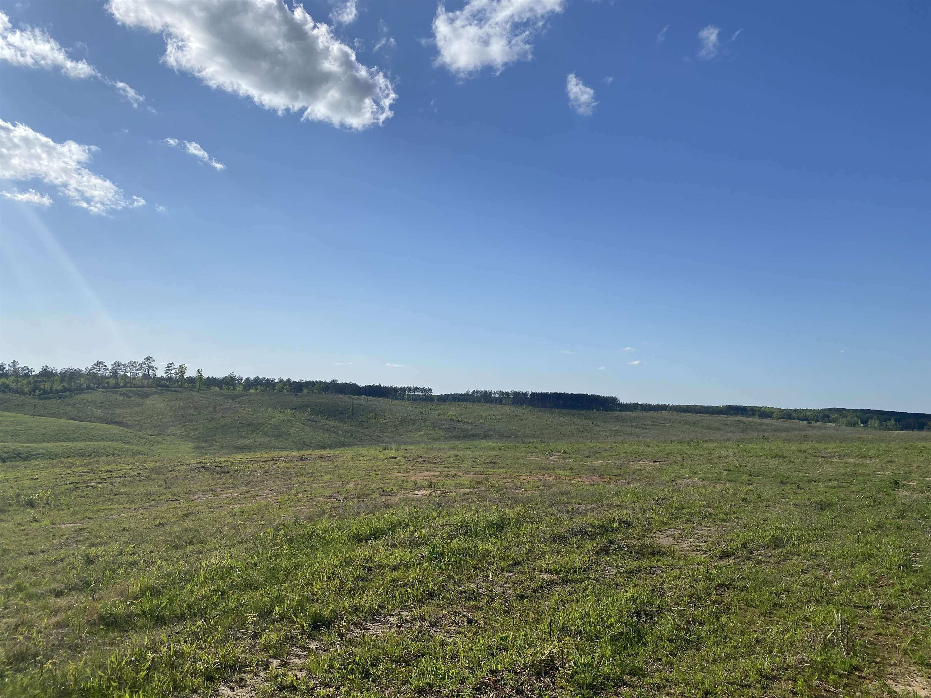 7 Otis Paine Road Bethel Springs, TN 38315 - Photo 10 of 25 a view of an ocean and beach