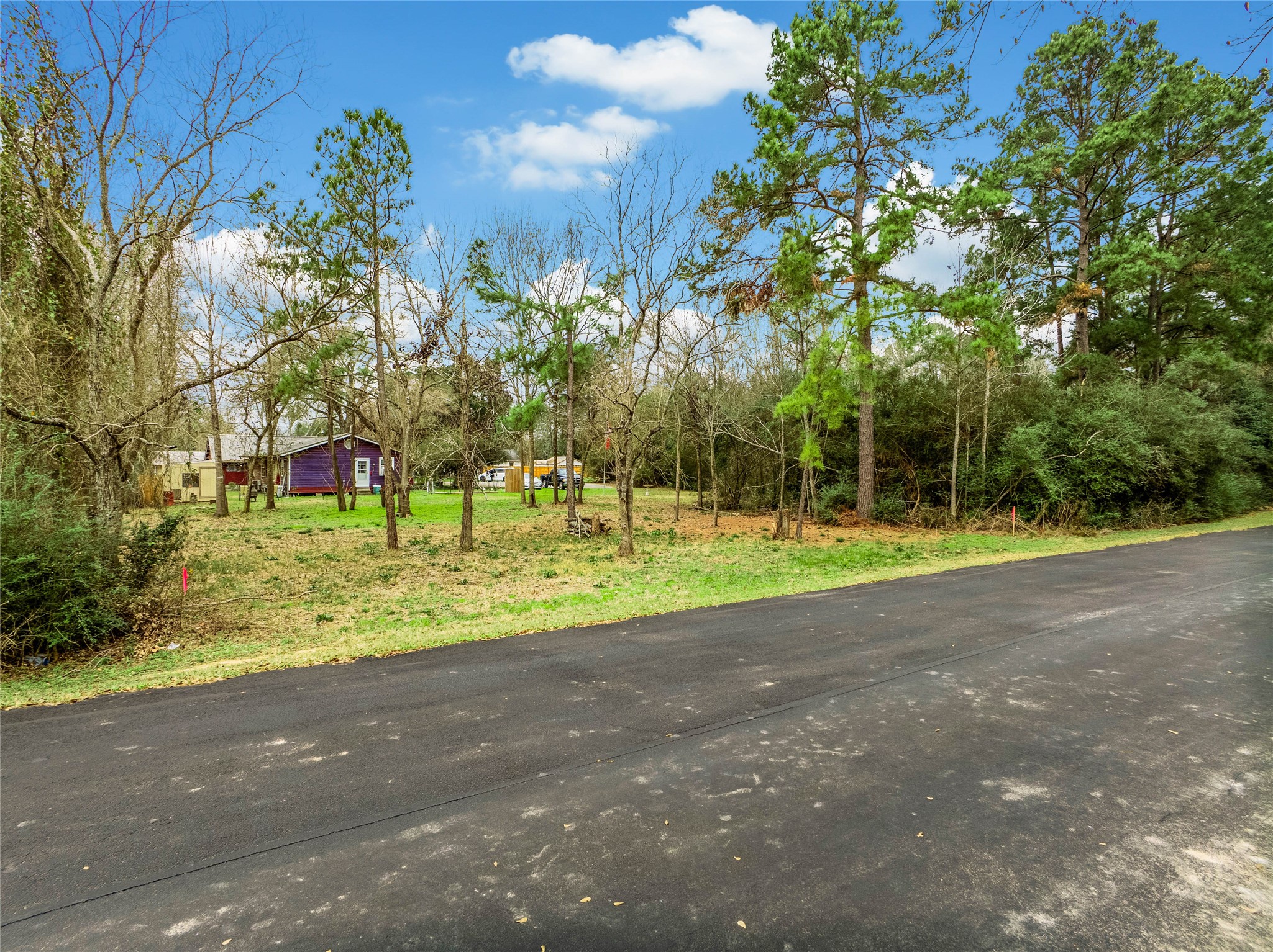 650 Texas Street Tomball, TX 77375 - Photo 14 of 22 a view of a park with large trees