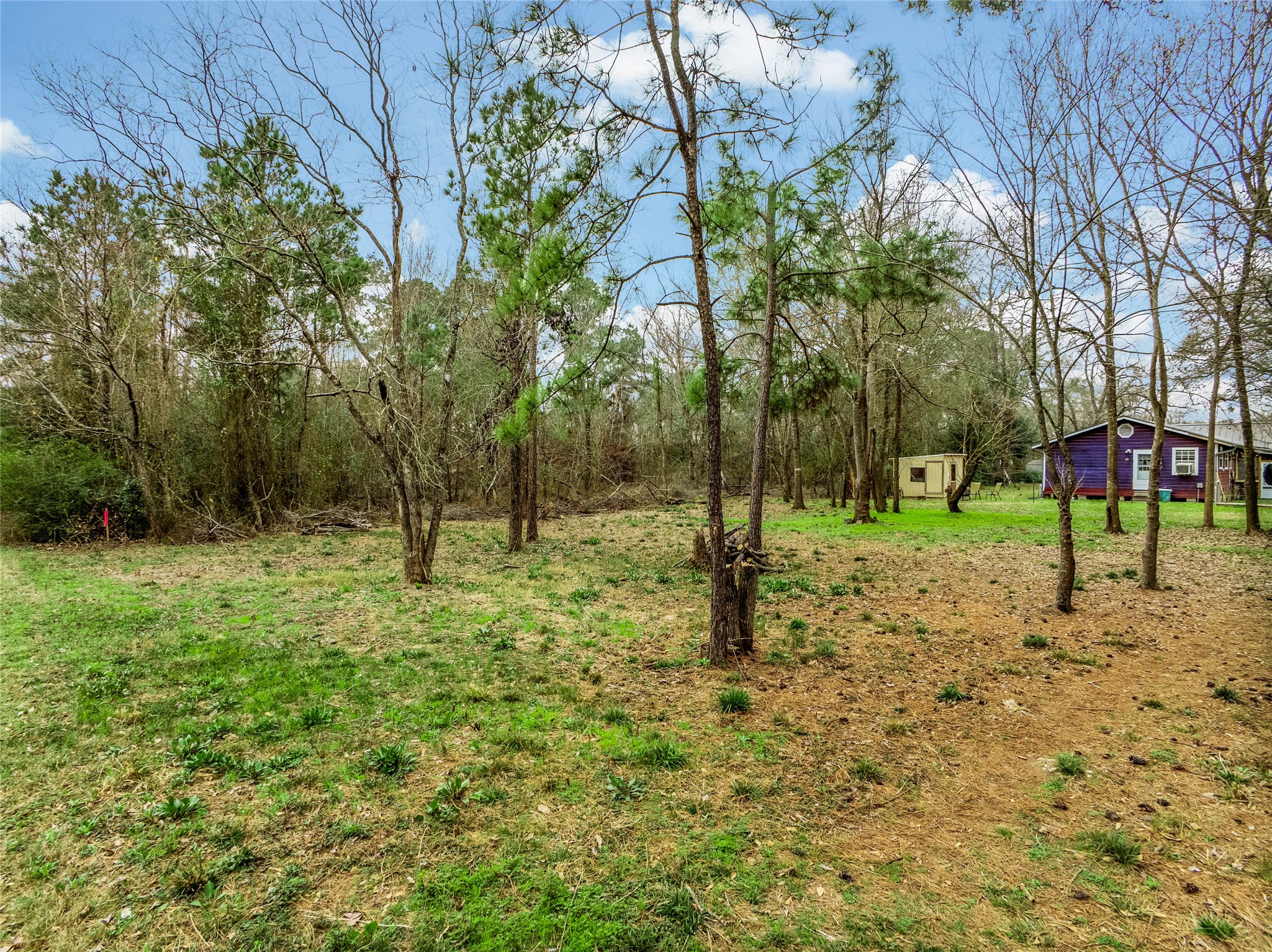 650 Texas Street Tomball, TX 77375 - Photo 3 of 22 a view of a park with large trees