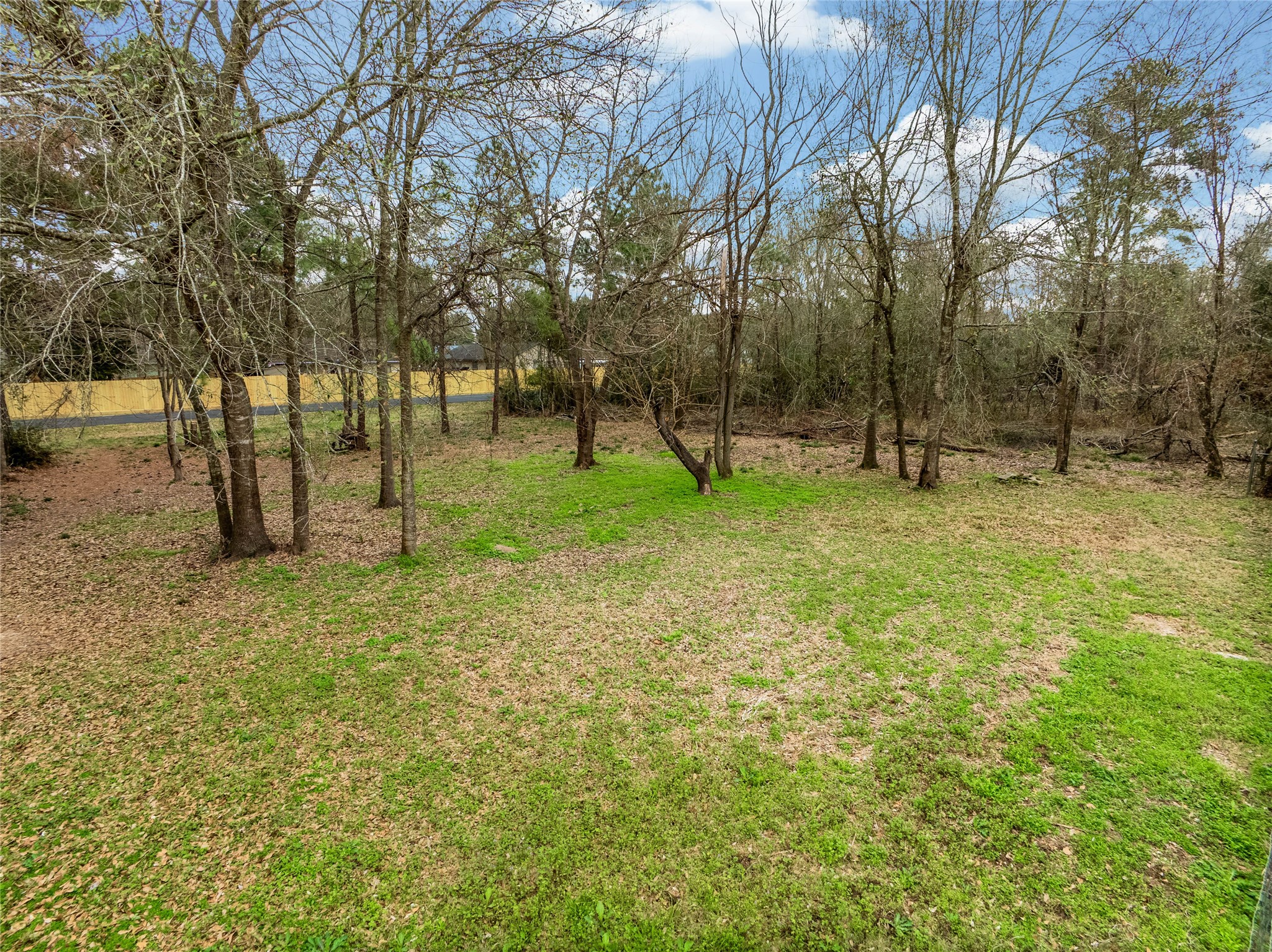 650 Texas Street Tomball, TX 77375 - Photo 4 of 22 a backyard of a house with lots of green space