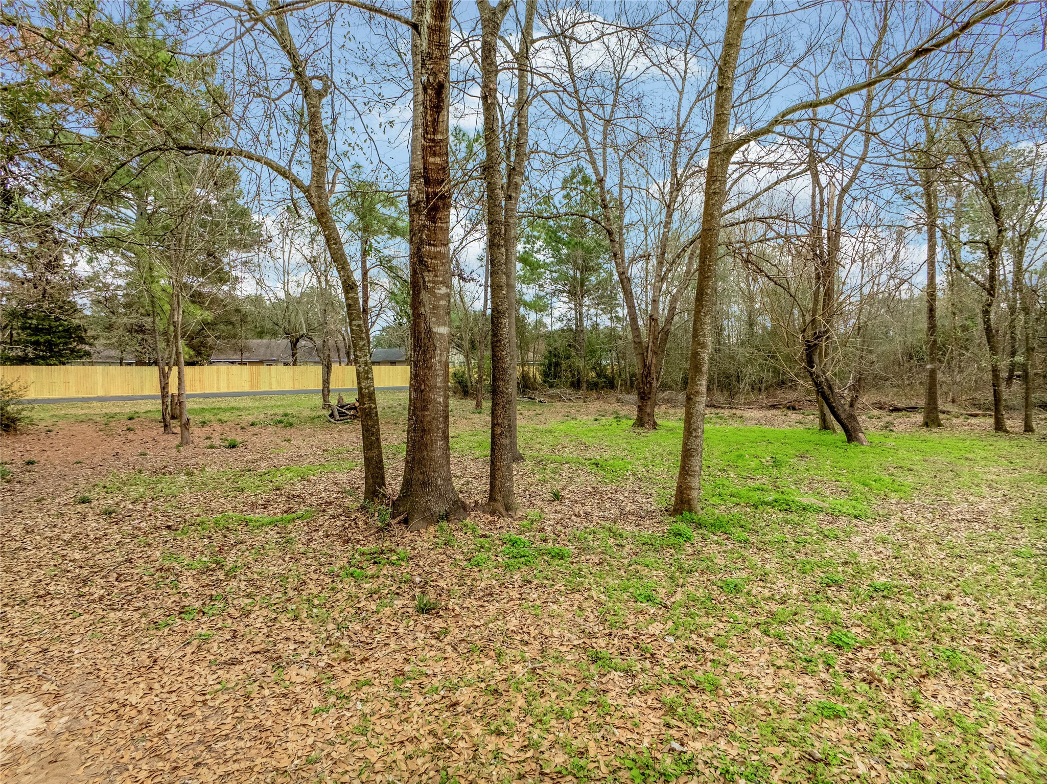 650 Texas Street Tomball, TX 77375 - Photo 5 of 22 a view of a yard with a tree