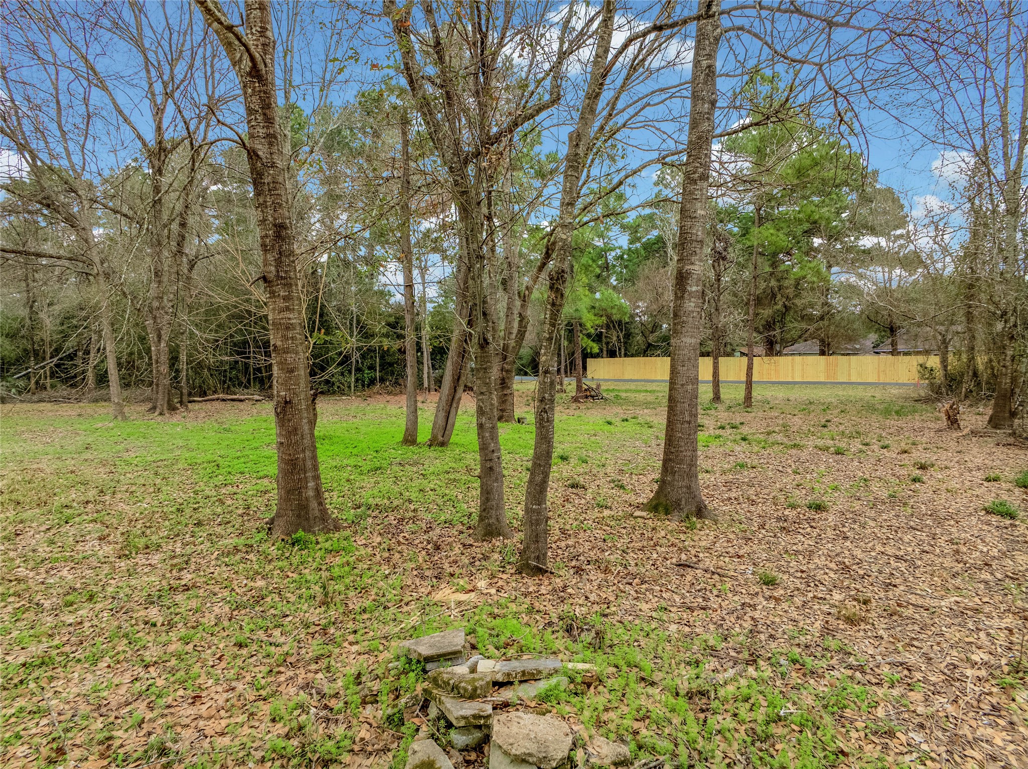 650 Texas Street Tomball, TX 77375 - Photo 6 of 22 a backyard of a house with lots of green space