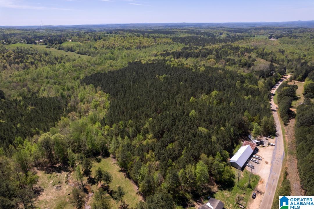0 County Road 204, Unit 1 Heflin, AL 36264 - Photo 2 of 9