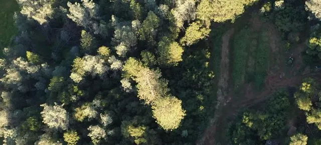 $179,000 | 6140 Sarah Burner Court, Pilot Hill, CA 95664