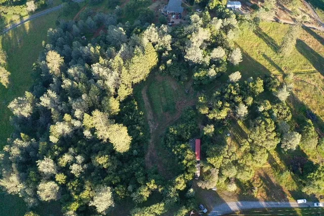 a view of a lake with a tree