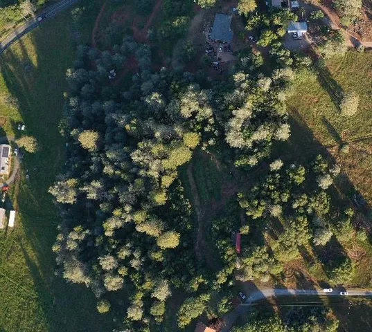a view of a lush green forest with lots of trees