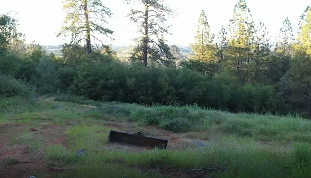 a sign that is sitting in front of a tree