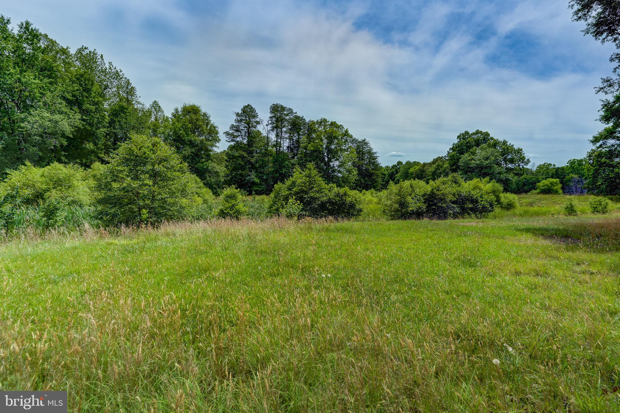 8858 Poindexter Road Louisa, VA 23093 - Photo 39 of 48