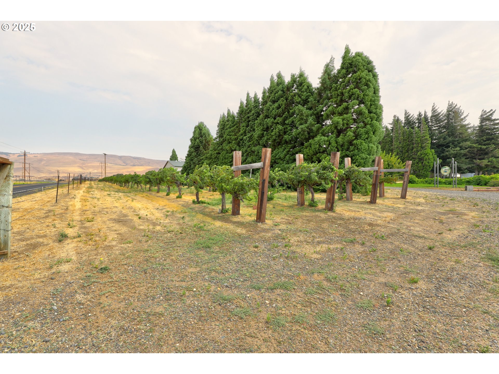 1520 Dallesport Road Dallesport, WA 98617 - Photo 48 of 48 a view of outdoor space with garden and trees
