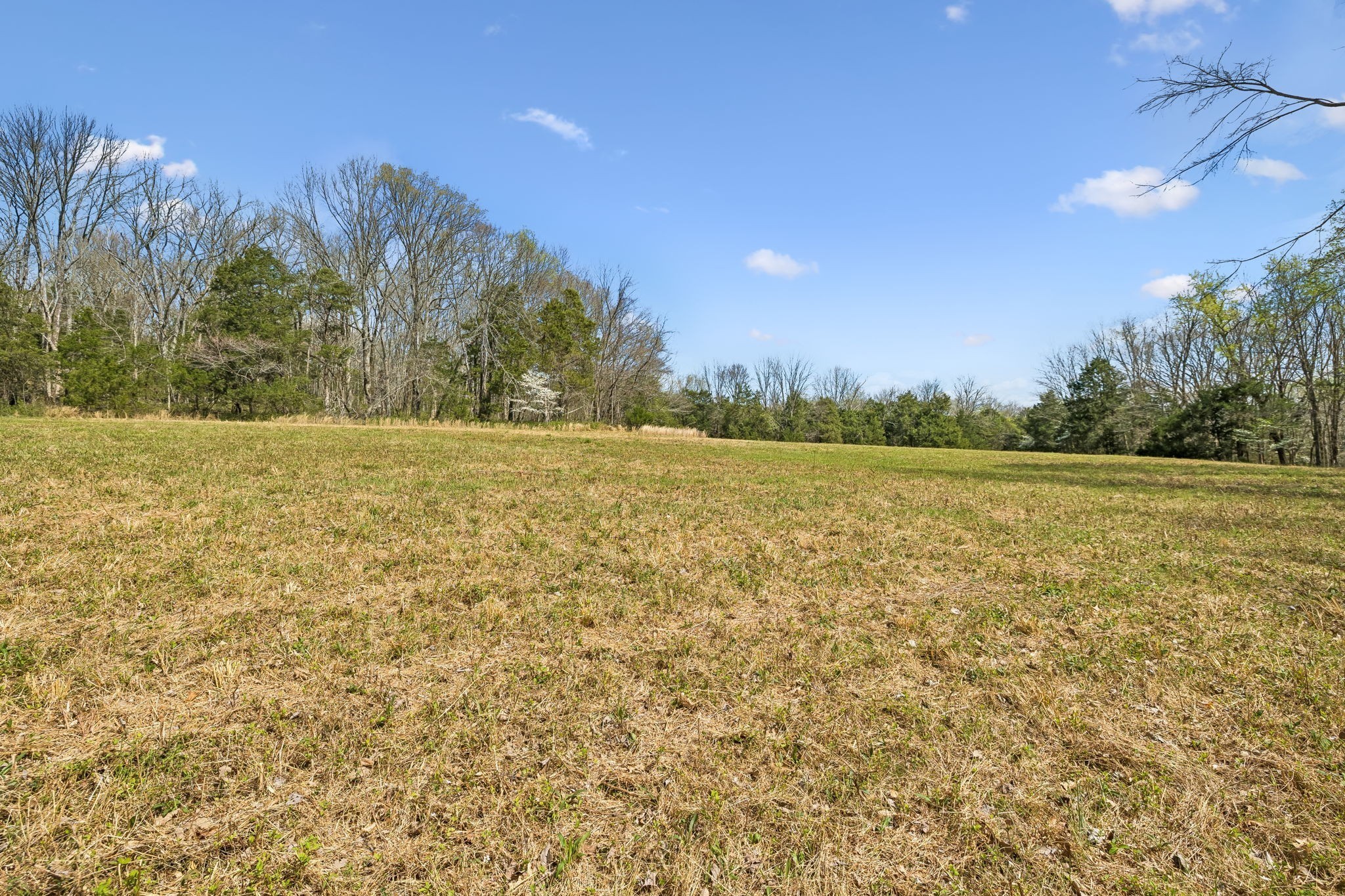 0 Turney Road Auburntown, TN 37016 - Photo 11 of 46 Gallery Image 11
