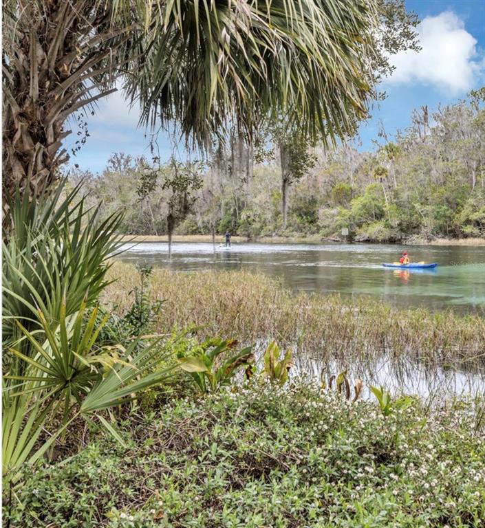 9092 Southwest 192nd Court Road Dunnellon, FL 34432 - Photo 40 of 50