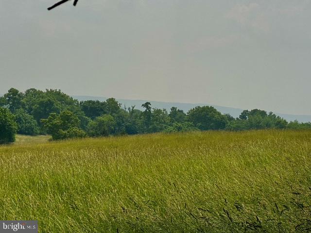 2710 Millwood Road Boyce, VA 22620 - Photo 2 of 8