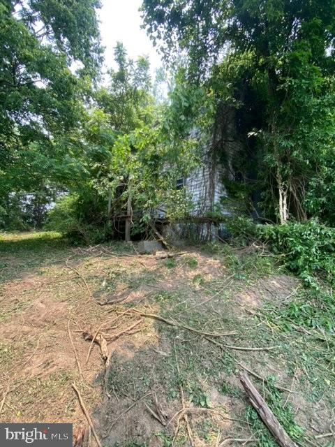 2710 Millwood Road Boyce, VA 22620 - Photo 4 of 8