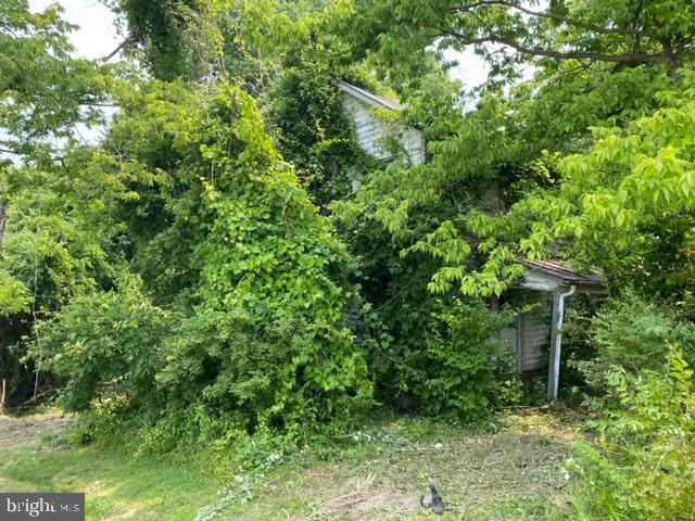 2710 Millwood Road Boyce, VA 22620 - Photo 5 of 8