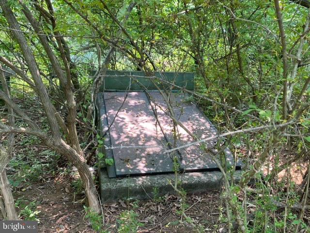 2710 Millwood Road Boyce, VA 22620 - Photo 6 of 8