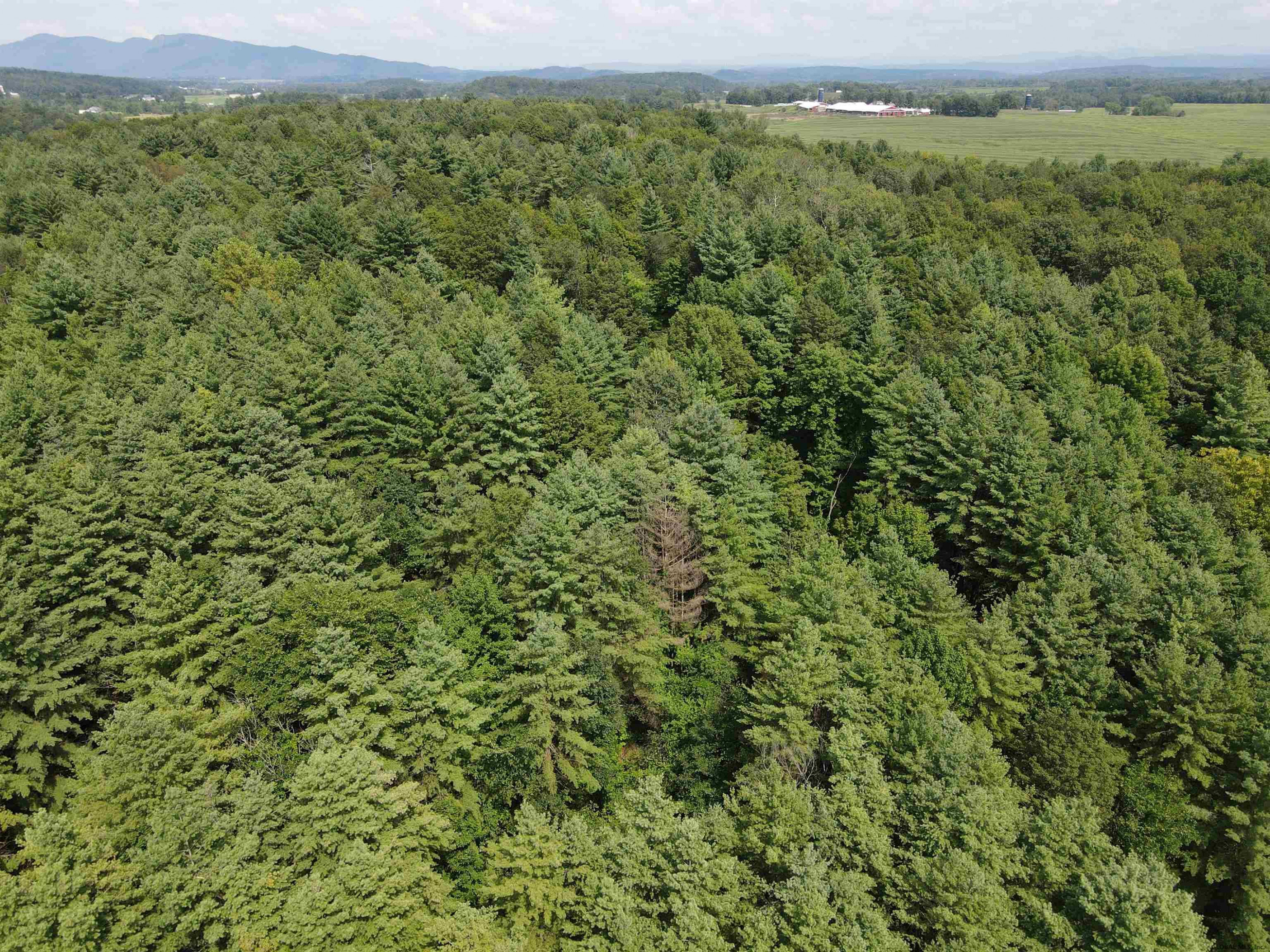 0 Farley Road Hudson Falls, NY 12839 - Photo 26 of 28 Photo 28