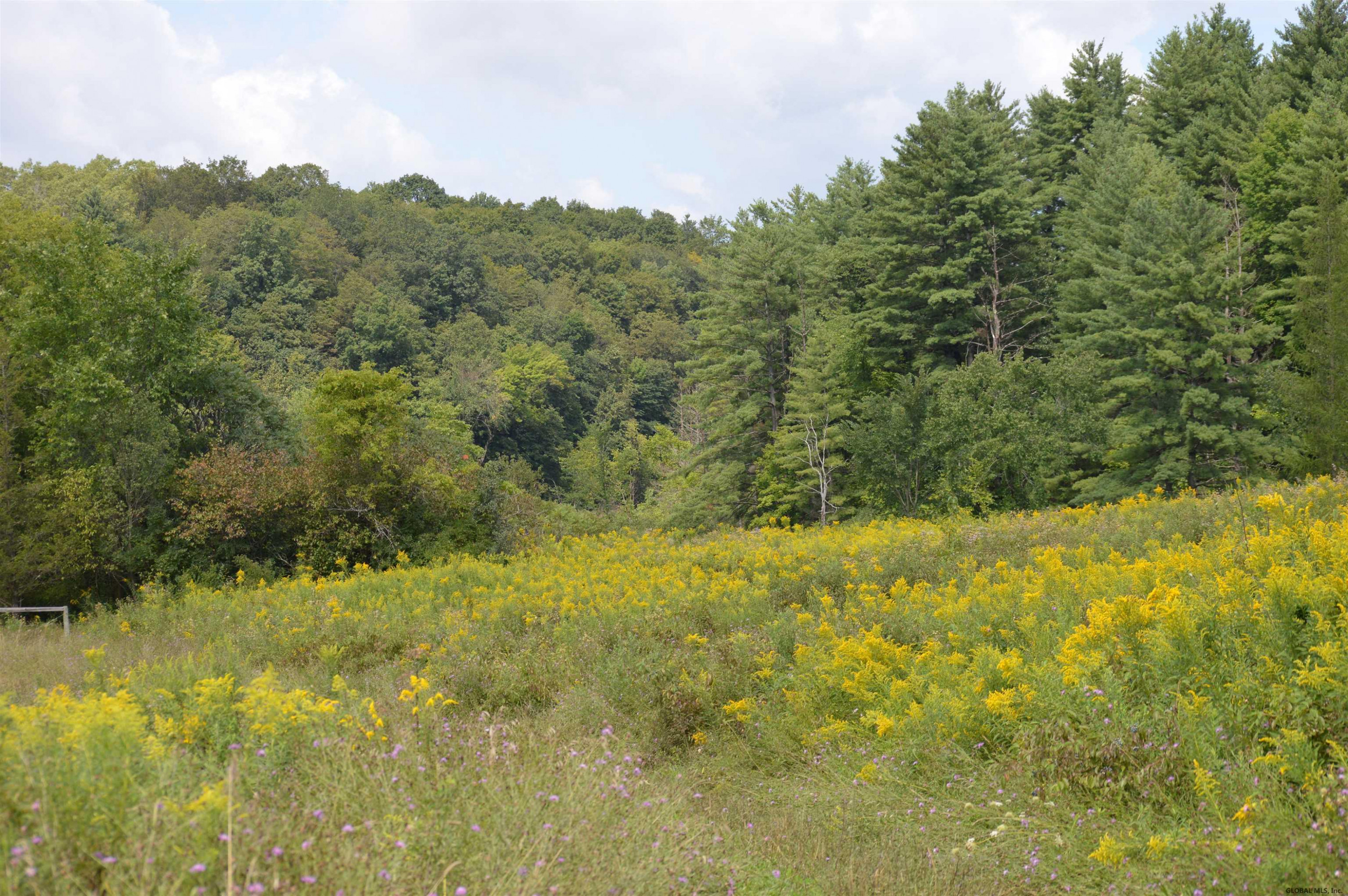 0 Farley Road Hudson Falls, NY 12839 - Photo 10 of 28 Photo 10