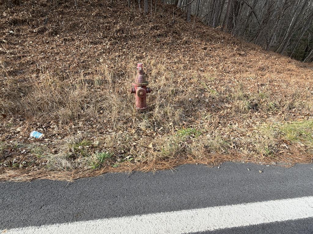 83-acres Cutcane Road Mineral Bluff, GA 30559 - Photo 13 of 22 a view of a yard