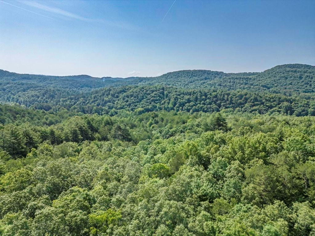 83-acres Cutcane Road Mineral Bluff, GA 30559 - Photo 16 of 22 a view of a green field