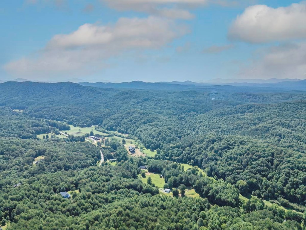 83-acres Cutcane Road Mineral Bluff, GA 30559 - Photo 19 of 22 a view of a bunch of trees and bushes